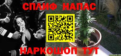 ешки Тула