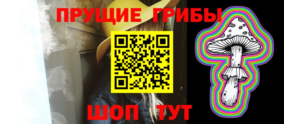 где продают наркотики  Галлюциногенные грибы Psilocybine cubensis  Вход с VPN  Мценск 